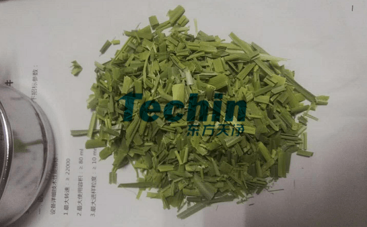 水稻叶子国产香蕉视频前