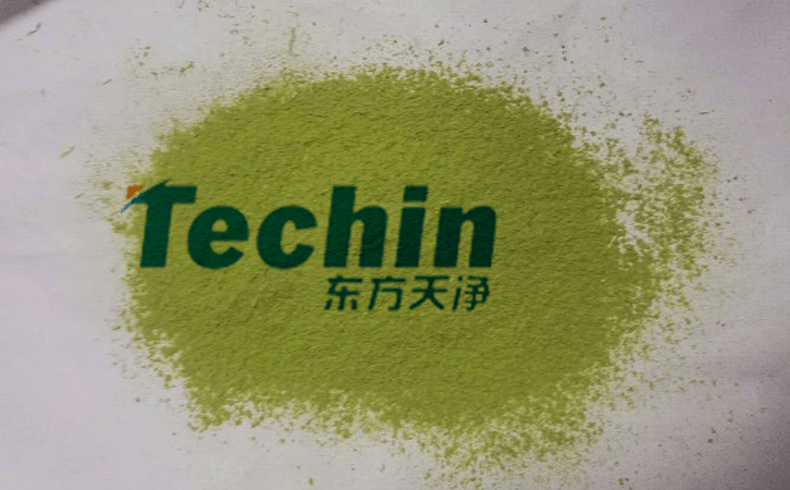 国产香蕉视频后的植物叶片