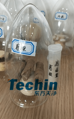 葛根国产香蕉视频前后