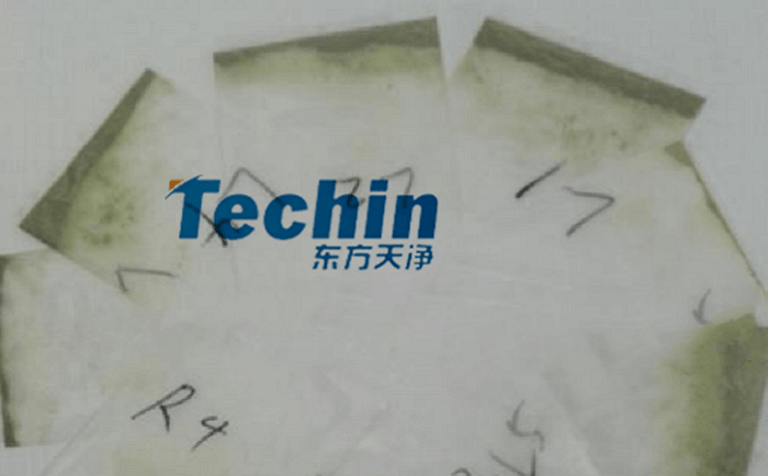 干黄豆根茎国产香蕉视频后