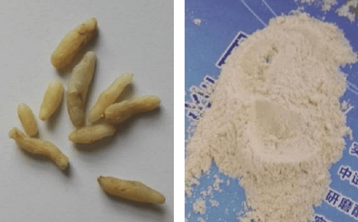 麦冬国产香蕉视频前后